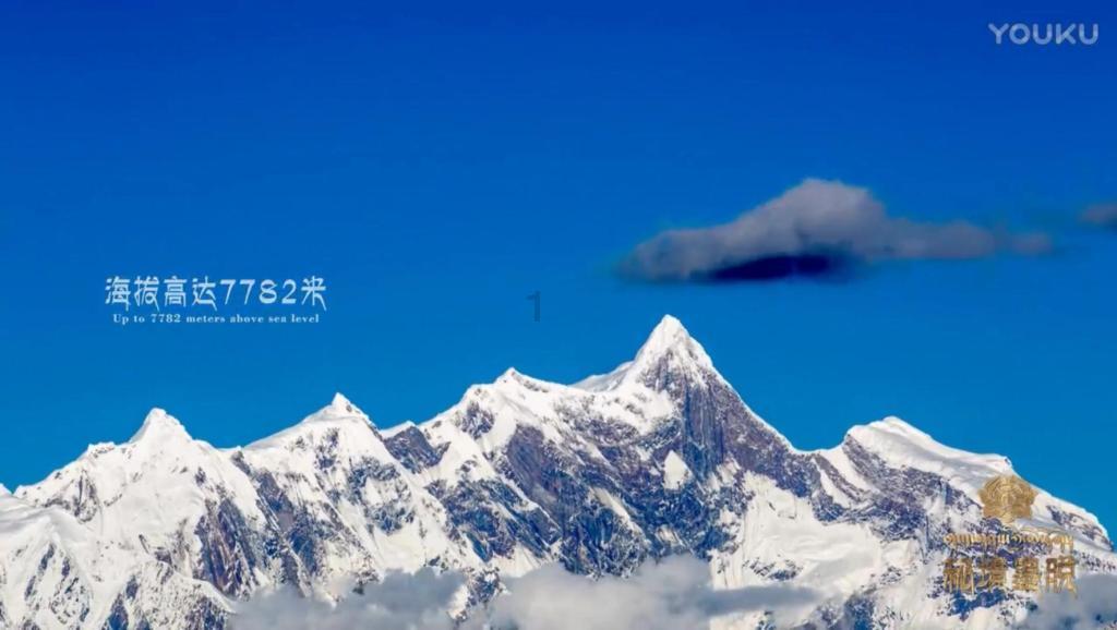 救援萌老虎