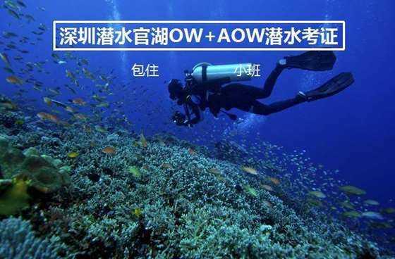 【两会·黔讯】省政协委员陆续报到 贵州进入两会时间