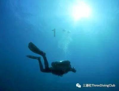 救援顽皮小猴