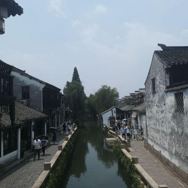 这种桑葚是发霉了吗？