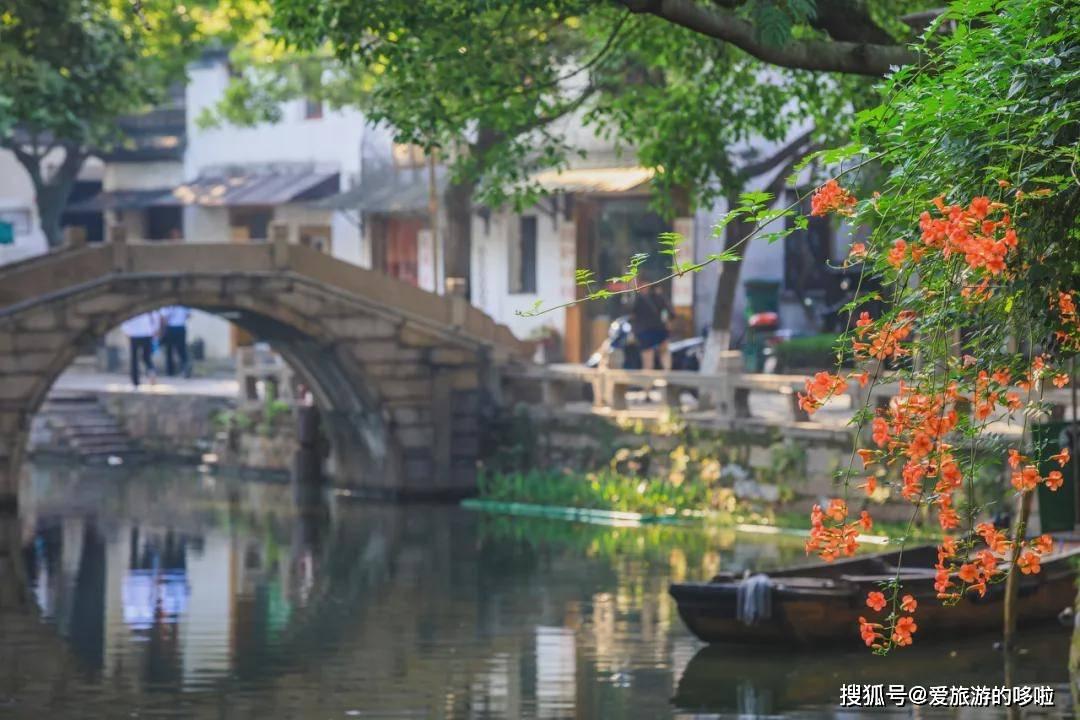 养猫要准备些什么东西啊？游戏画面