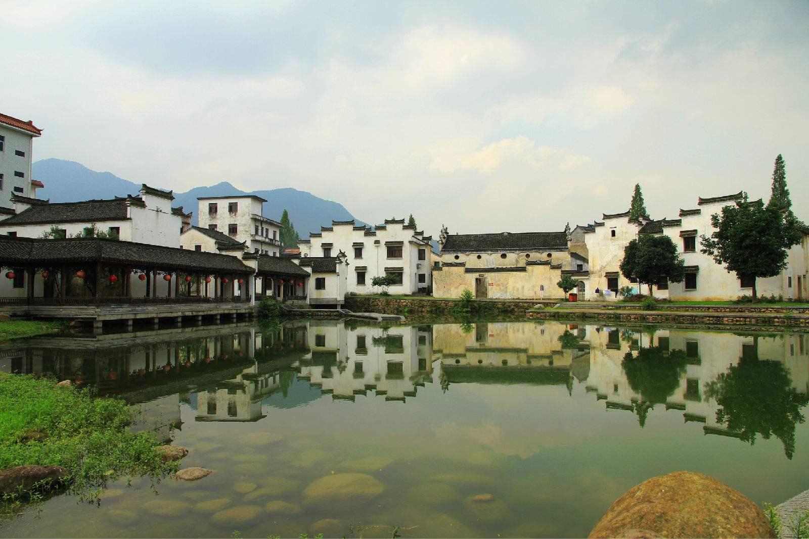 多情,总为爱疯狂
