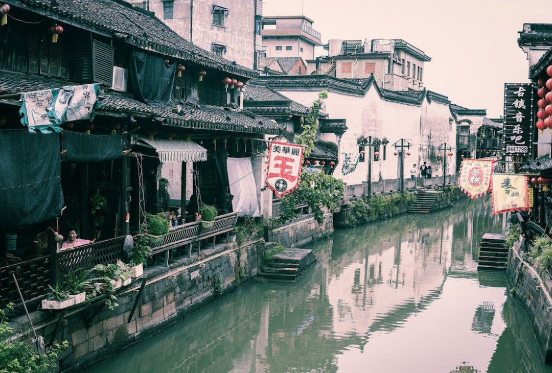 海岛大亨5