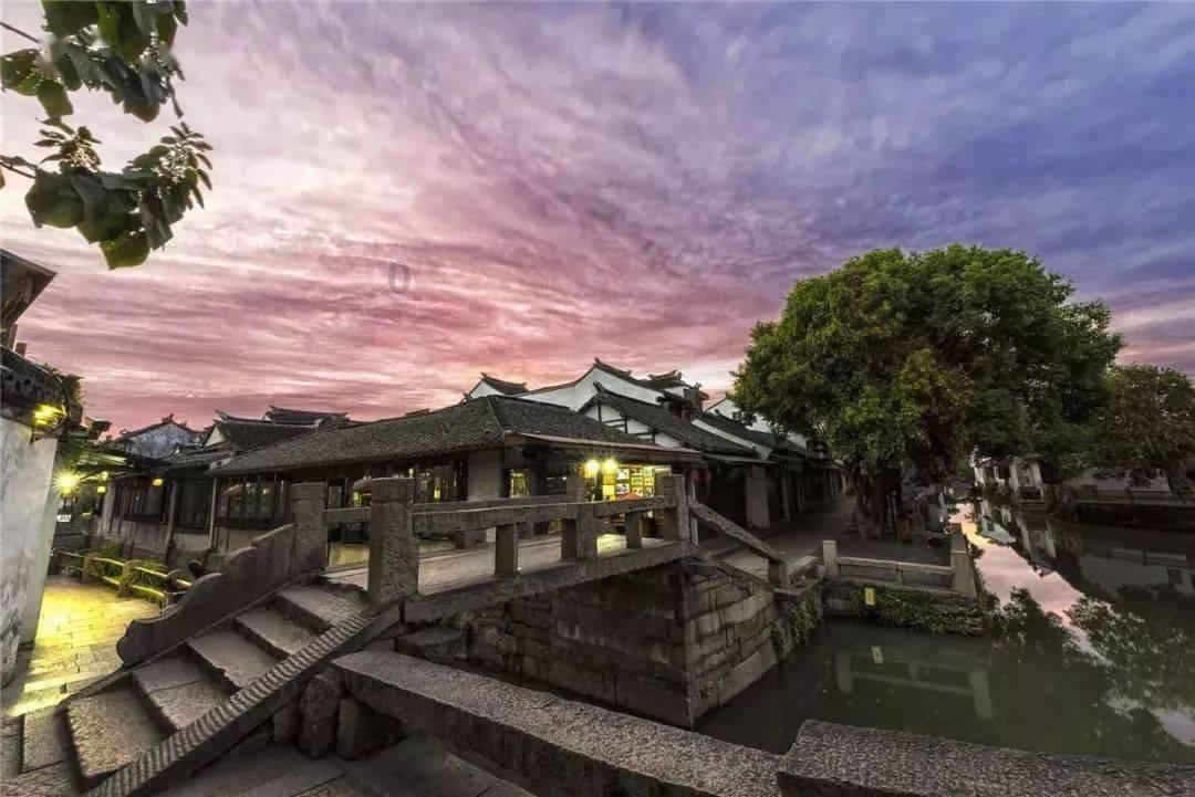 三台 梅花俏枝头撬动“花经济”