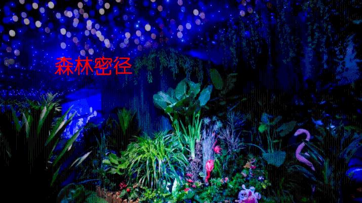 为文学与大众连接创造更多可能